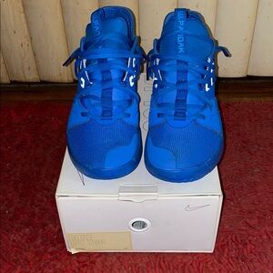 Nike Custom Paul George basketball Shoes one of a kind.